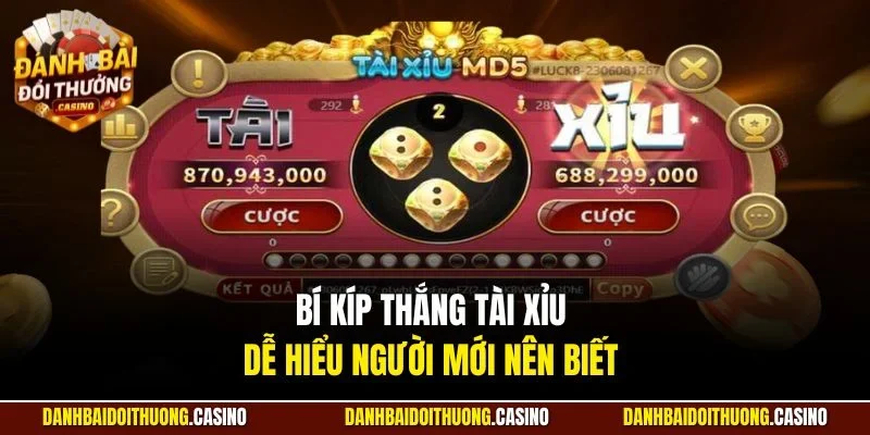 Bí kíp thắng tài xỉu dễ hiểu người mới nên biết 